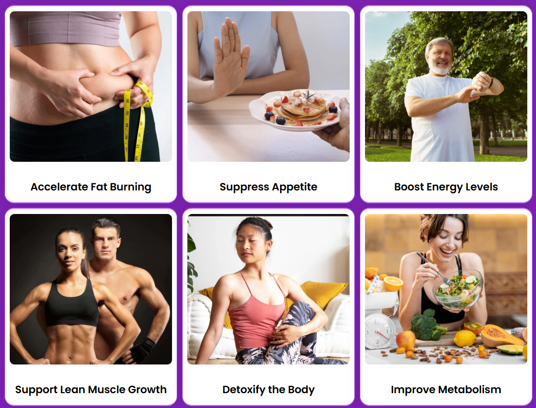 Sodatide benefits for gut health, metabolism, appetite, energy, and immunity